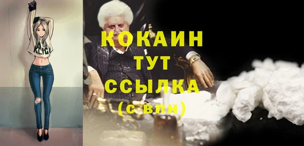 соль ск Алзамай