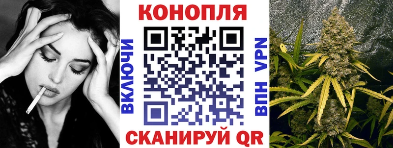 Конопля планчик  Дмитров 